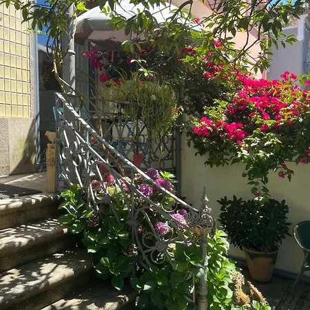 Frühstückspension Camelia Porto